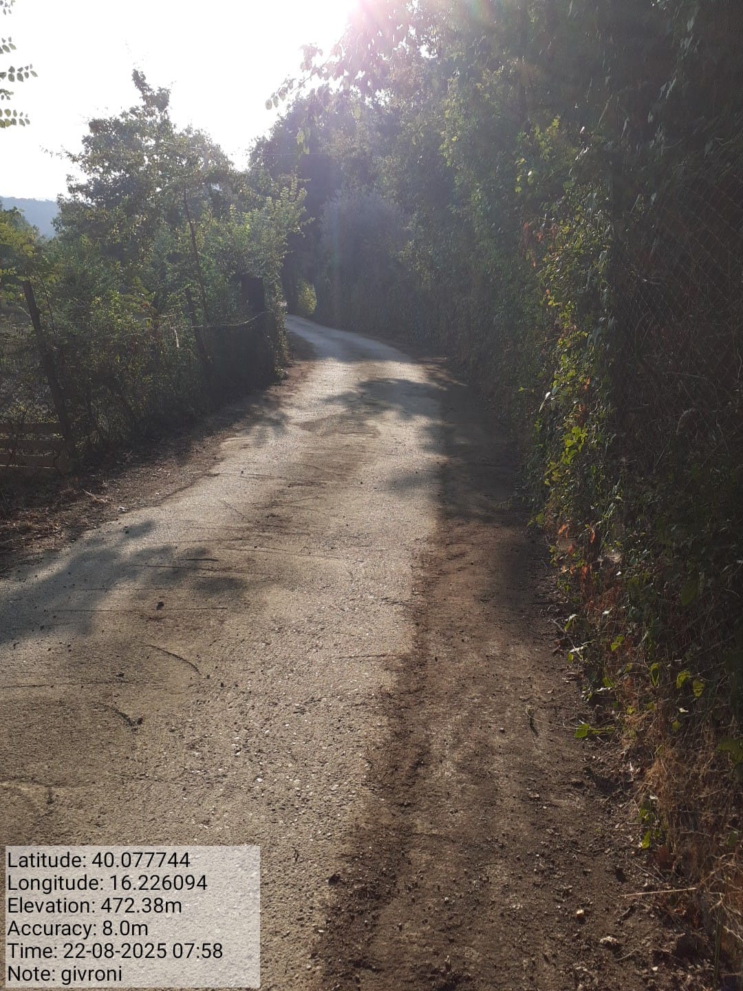 Galleria Fotografica Immagine