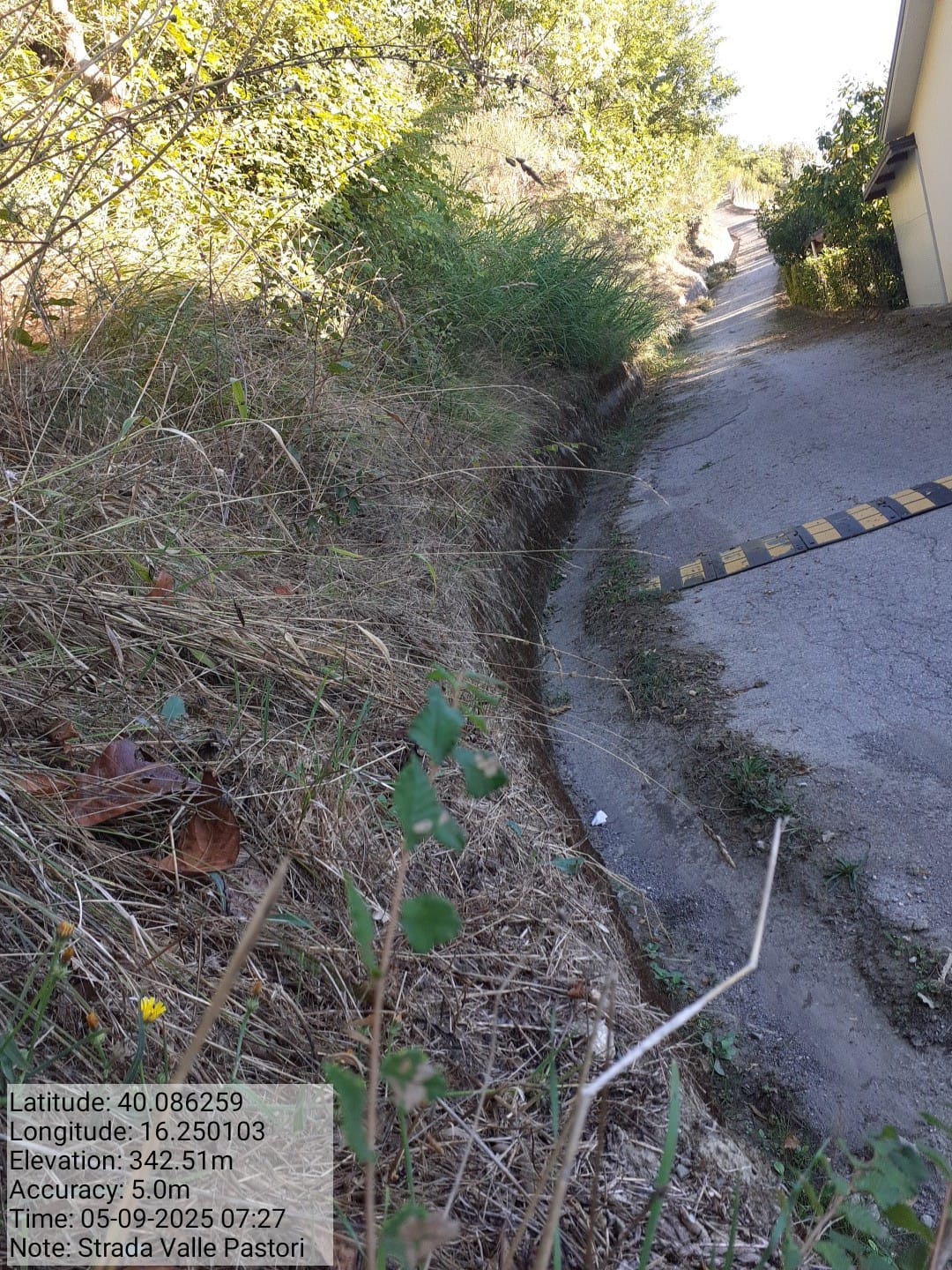 Galleria Fotografica Immagine