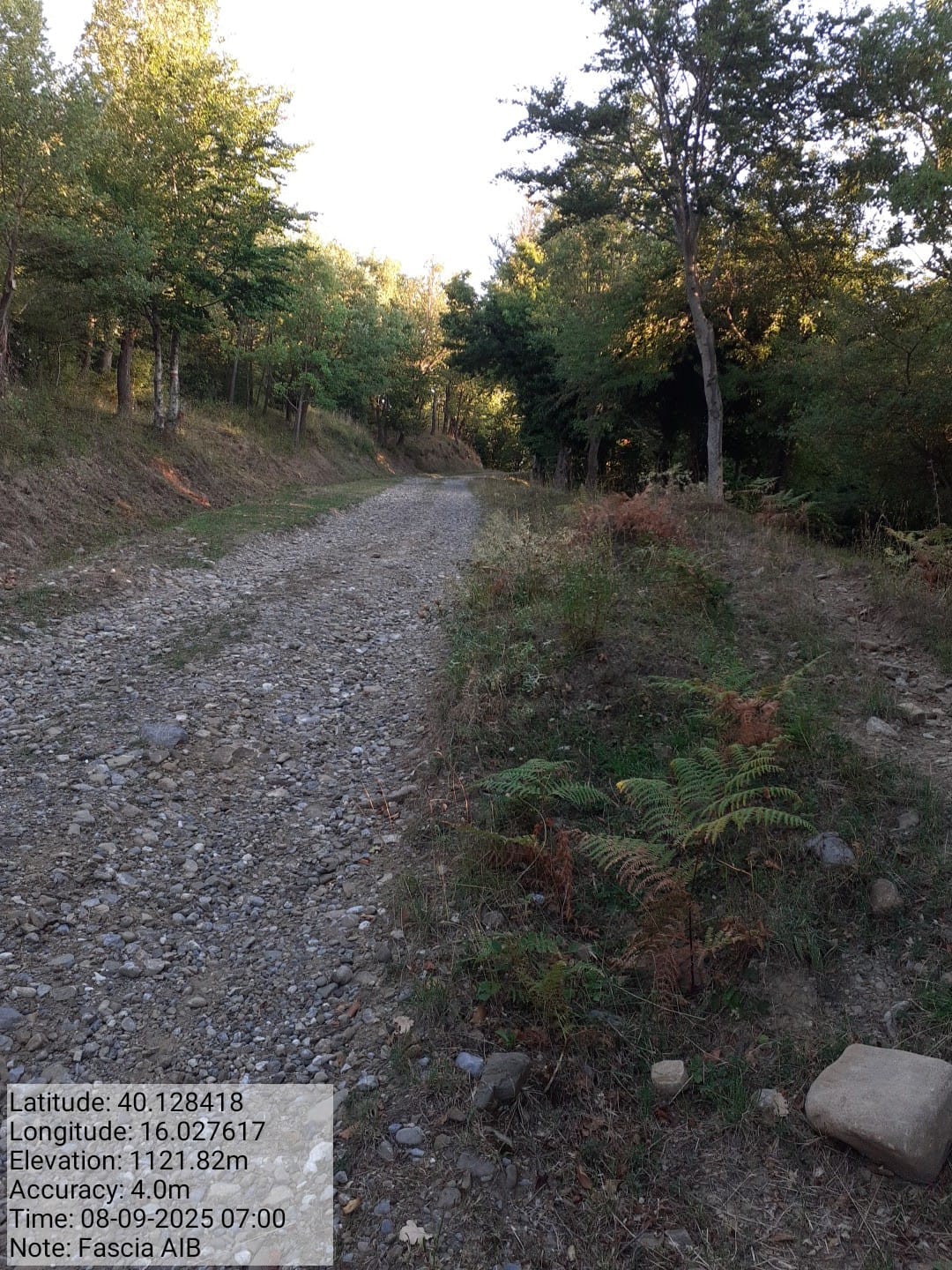 Galleria Fotografica Immagine