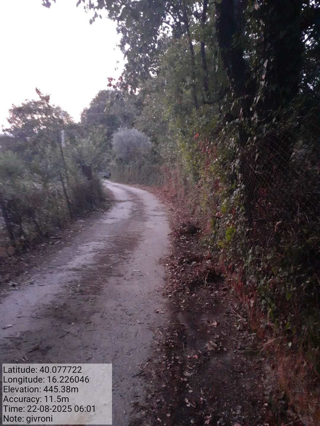 Galleria Fotografica Immagine