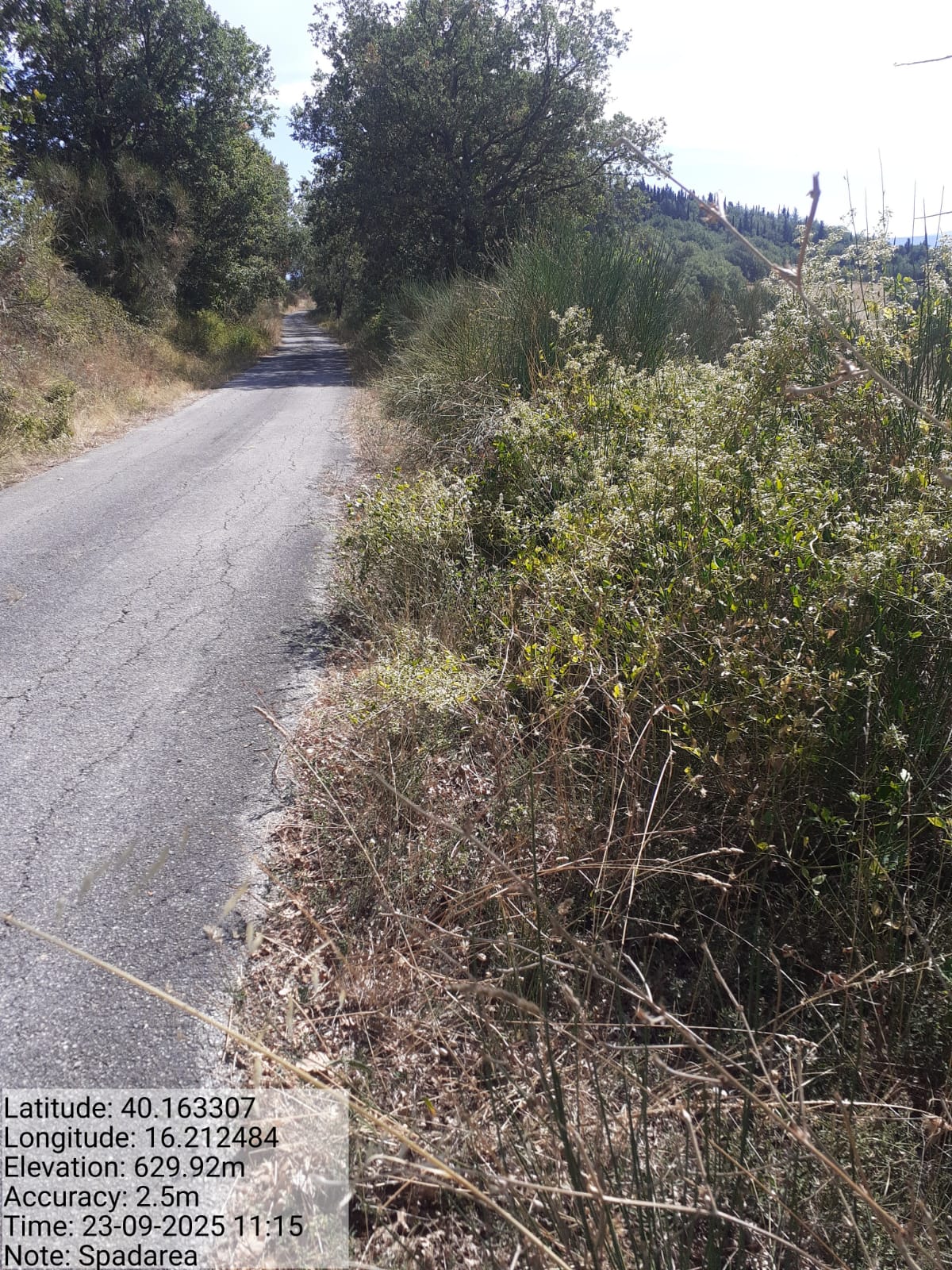 Galleria Fotografica Immagine