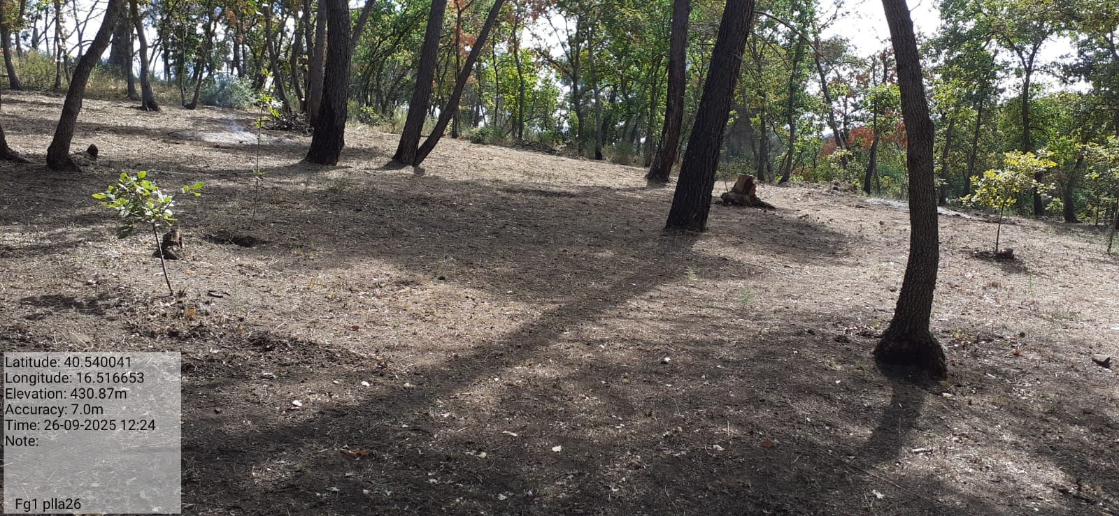 Galleria Fotografica Immagine