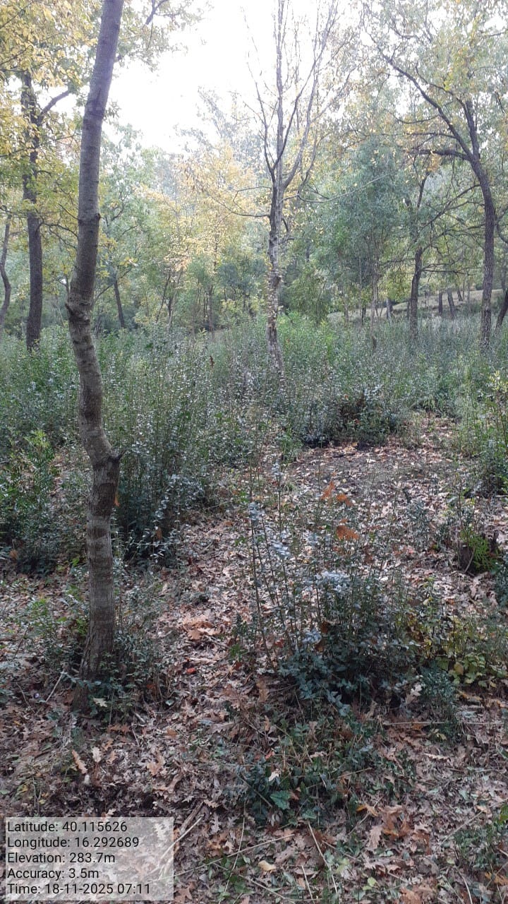 Galleria Fotografica Immagine