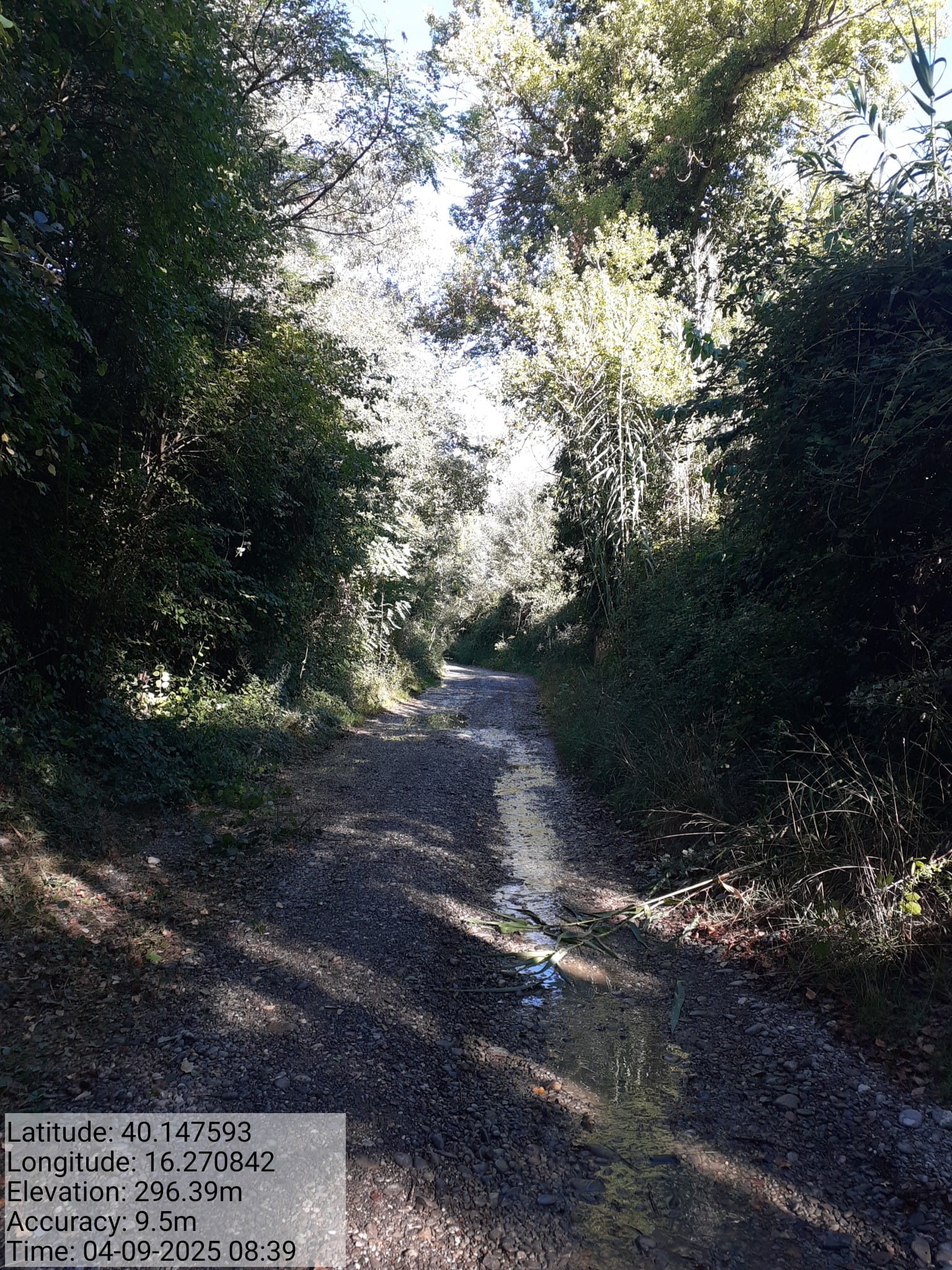 Galleria Fotografica Immagine