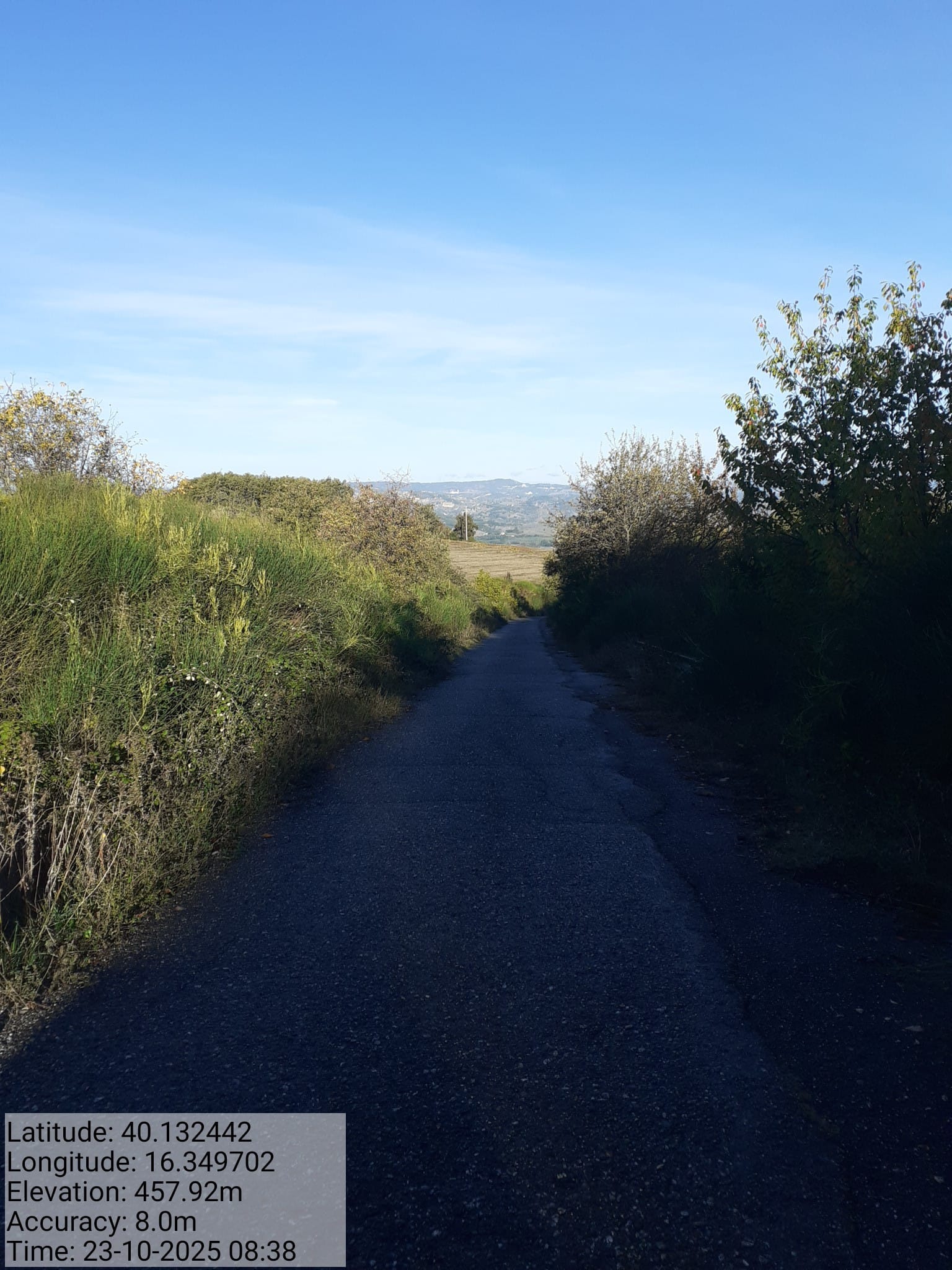 Galleria Fotografica Immagine