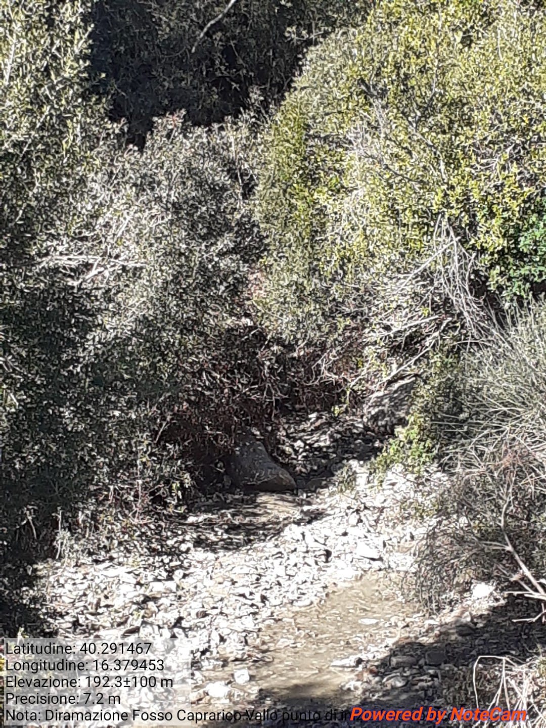 Galleria Fotografica Immagine