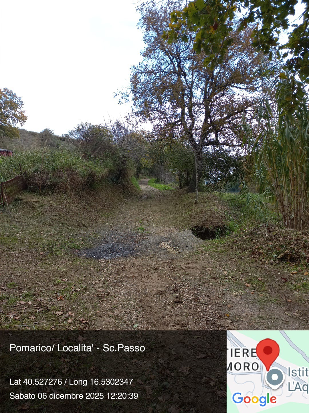 Galleria Fotografica Immagine