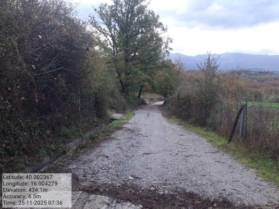 Galleria Fotografica Immagine