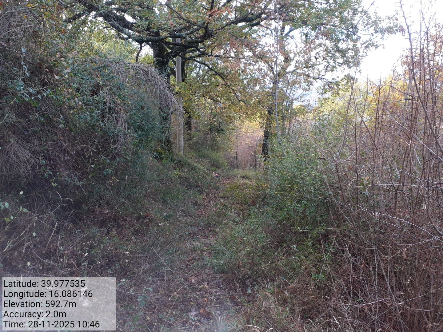 Galleria Fotografica Immagine