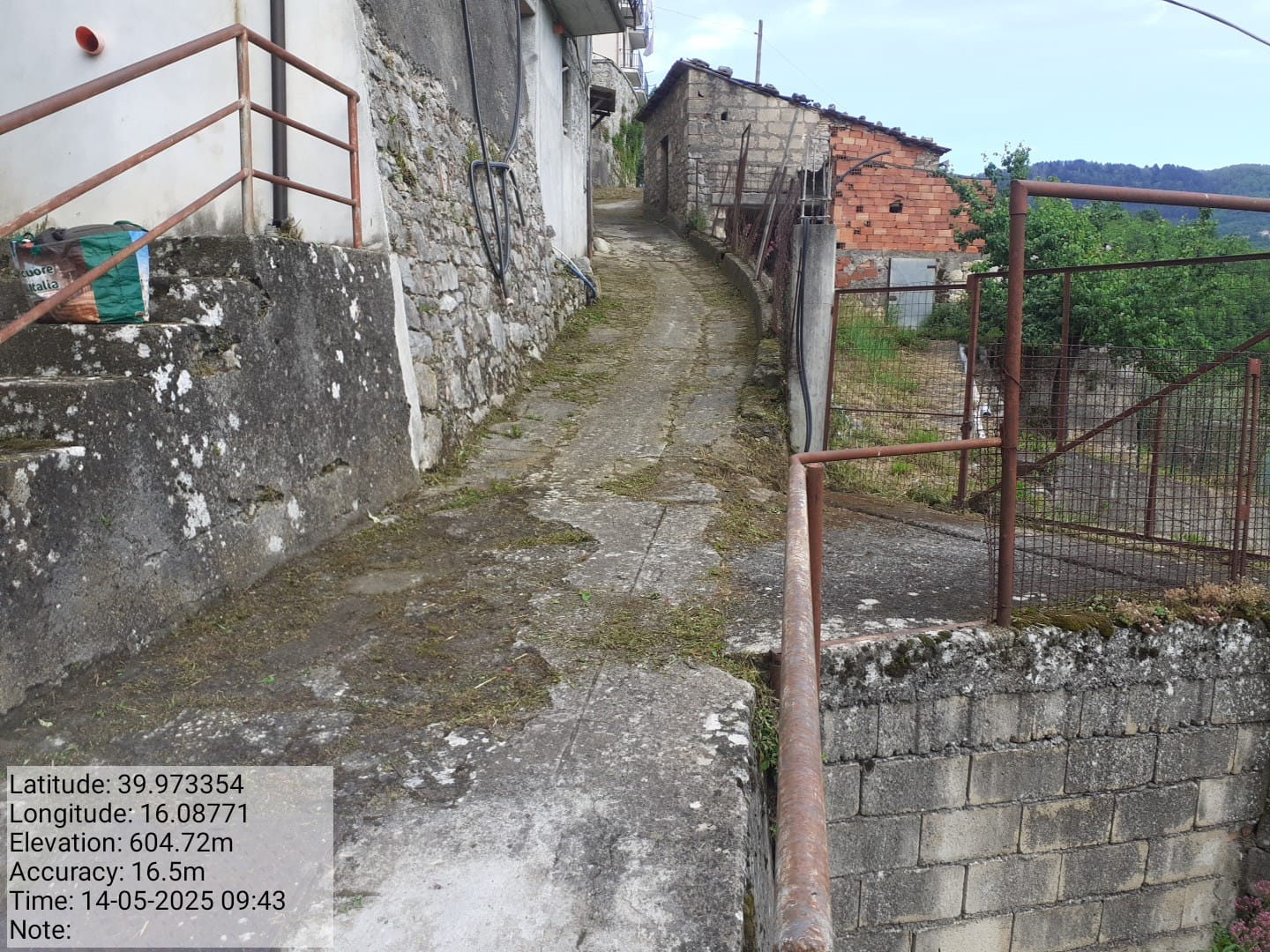 Galleria Fotografica Immagine