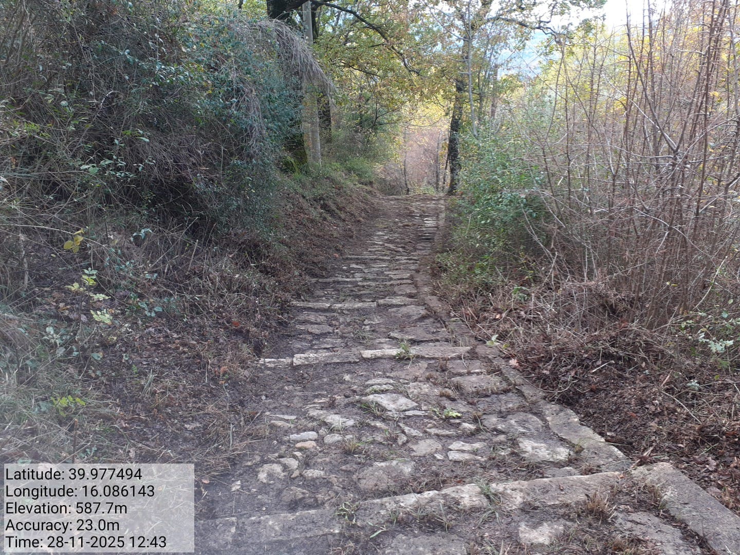 Galleria Fotografica Immagine