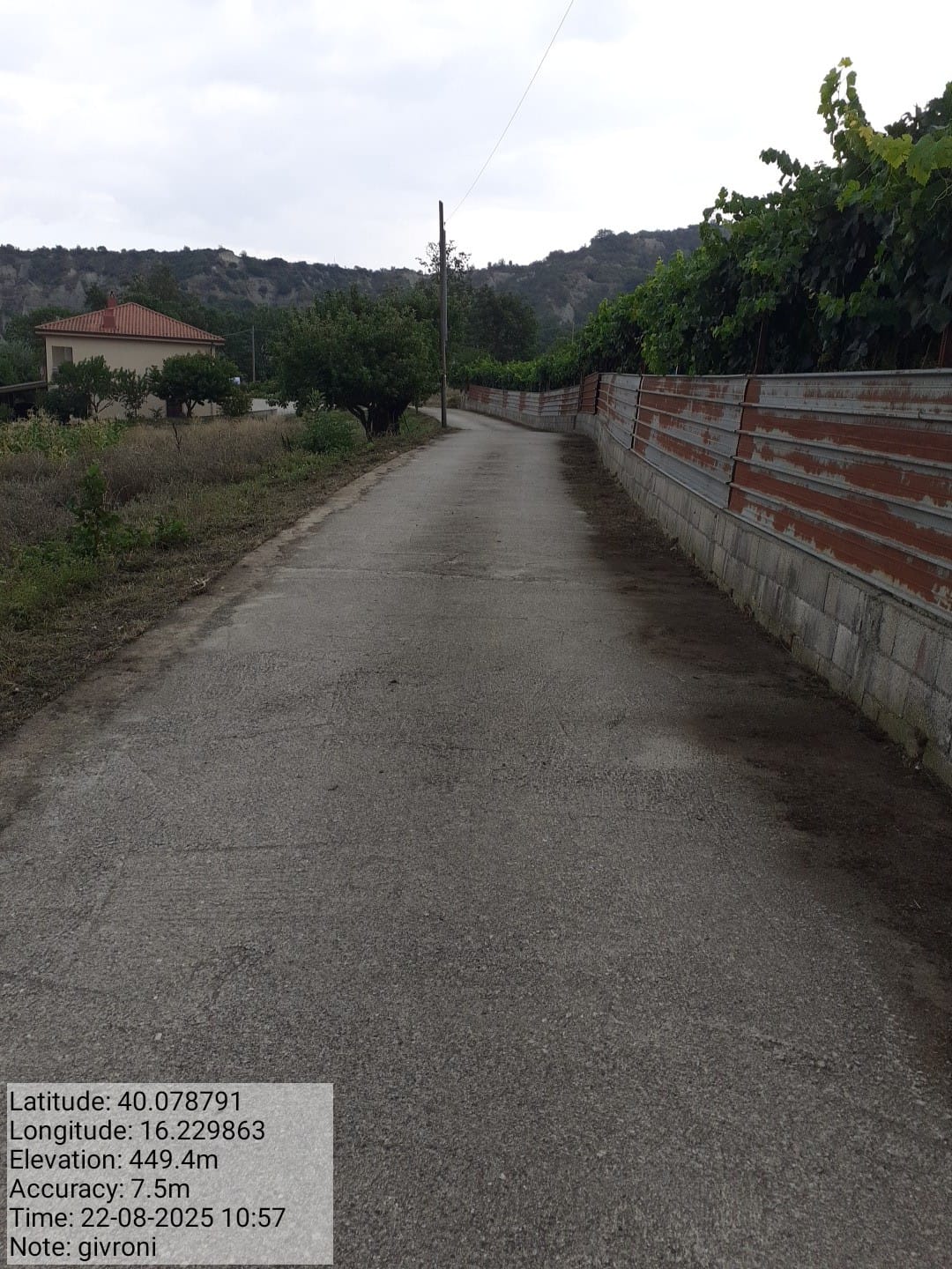 Galleria Fotografica Immagine