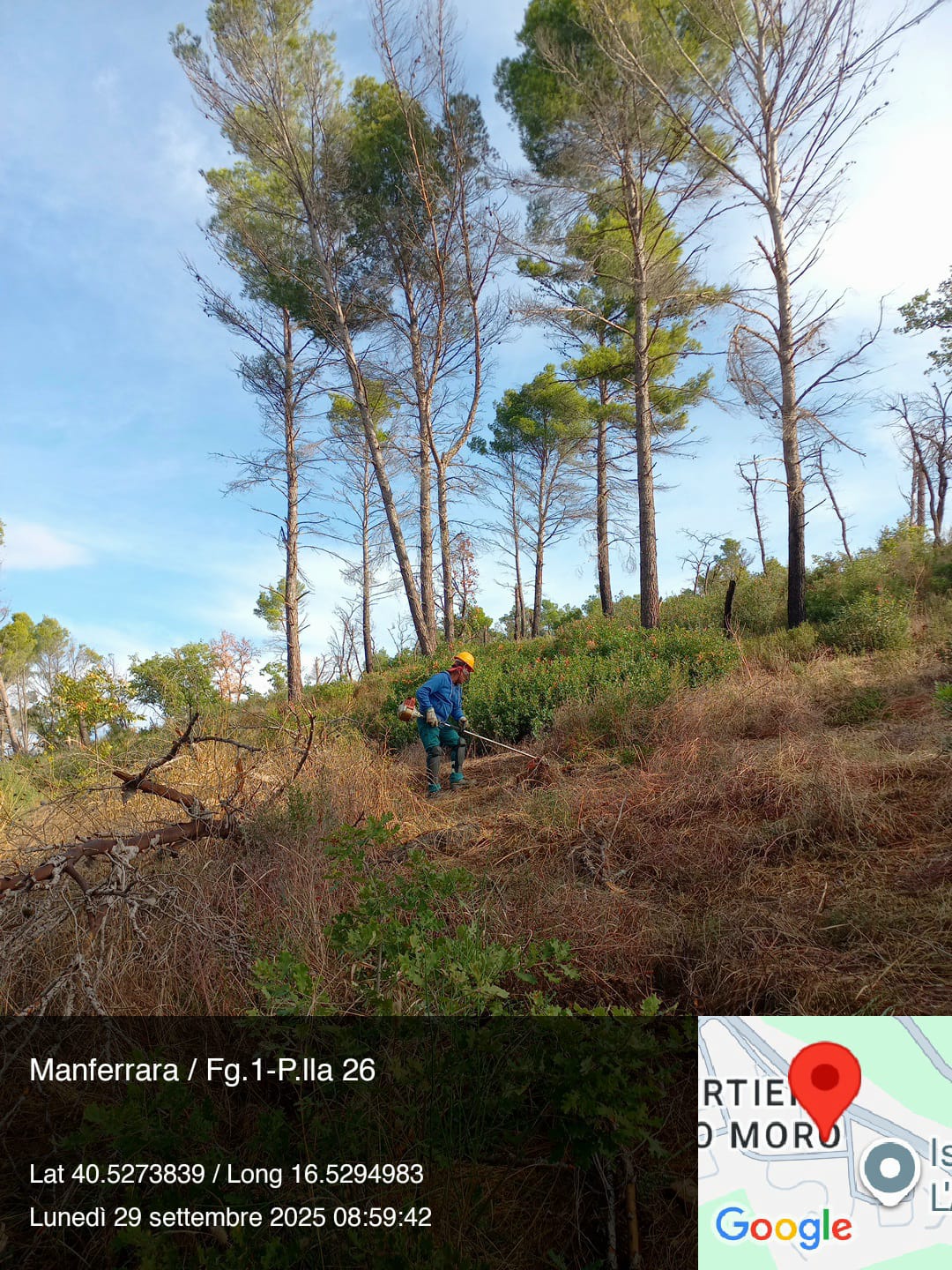 Galleria Fotografica Immagine