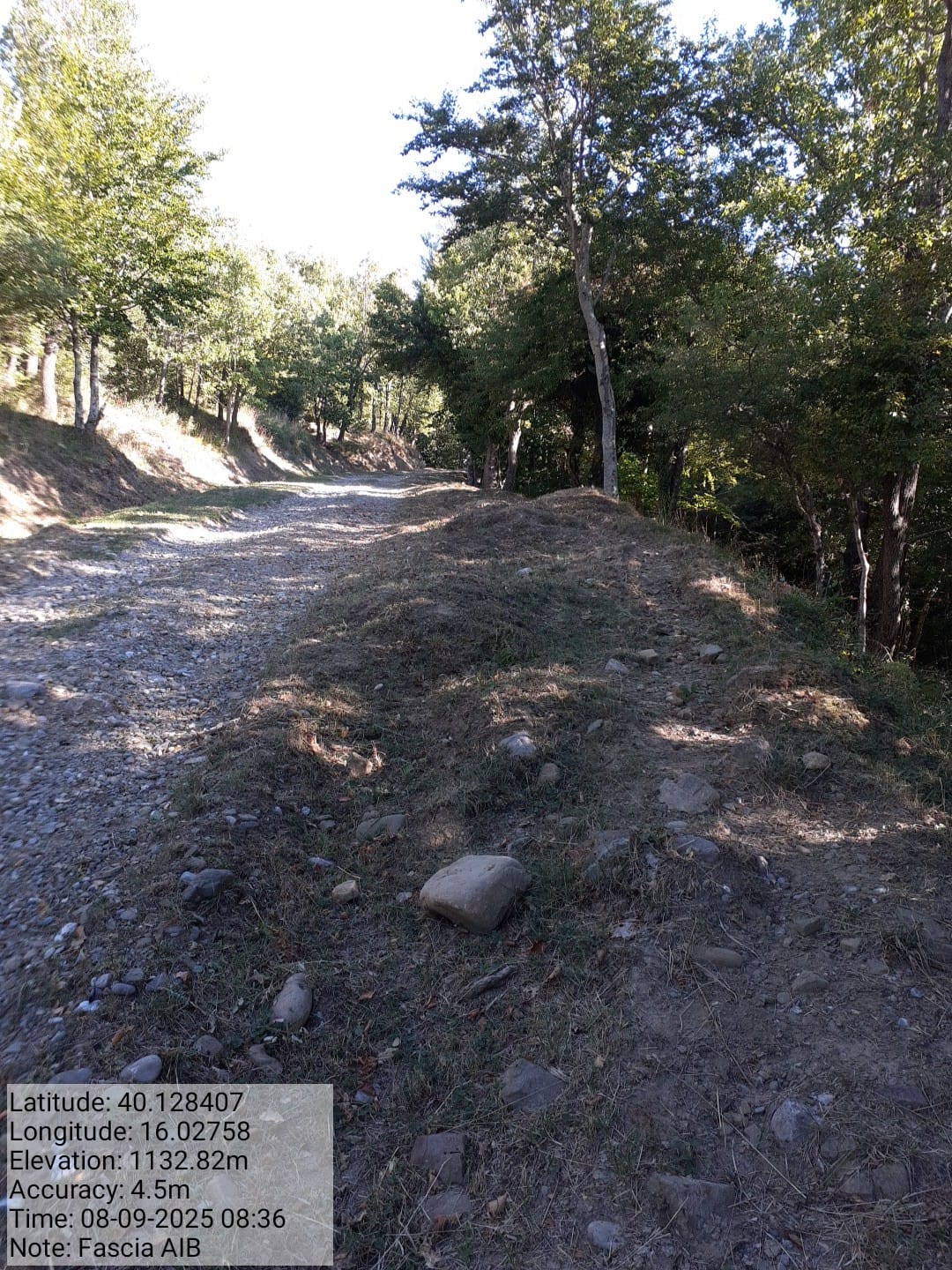 Galleria Fotografica Immagine