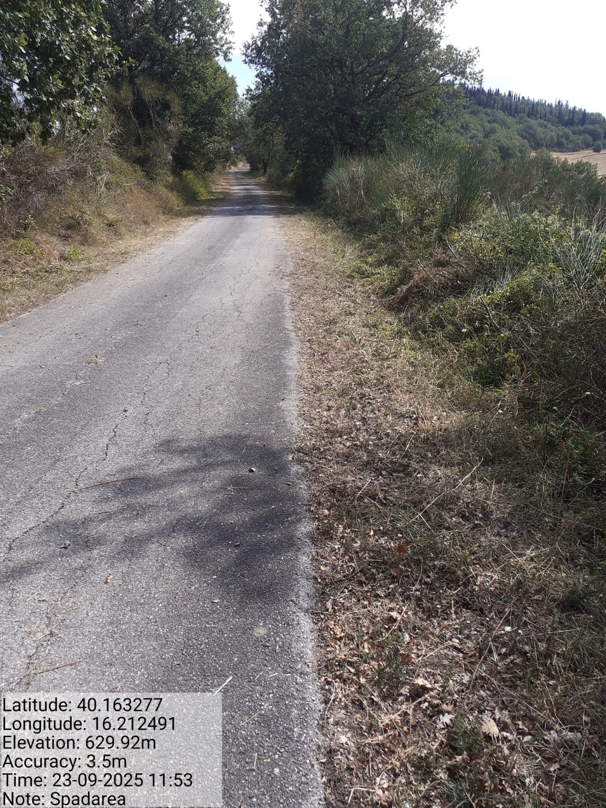 Galleria Fotografica Immagine