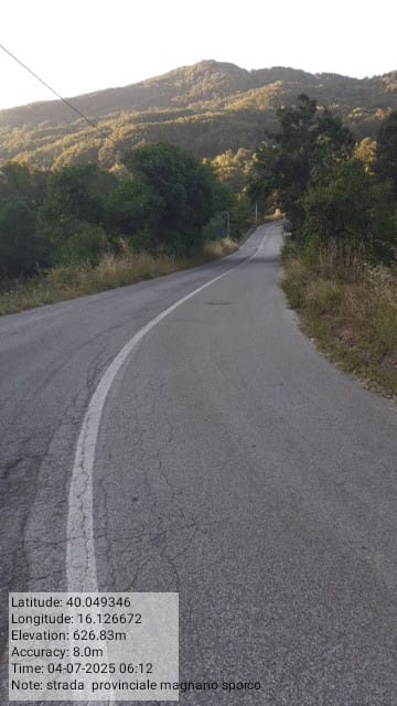 Galleria Fotografica Immagine