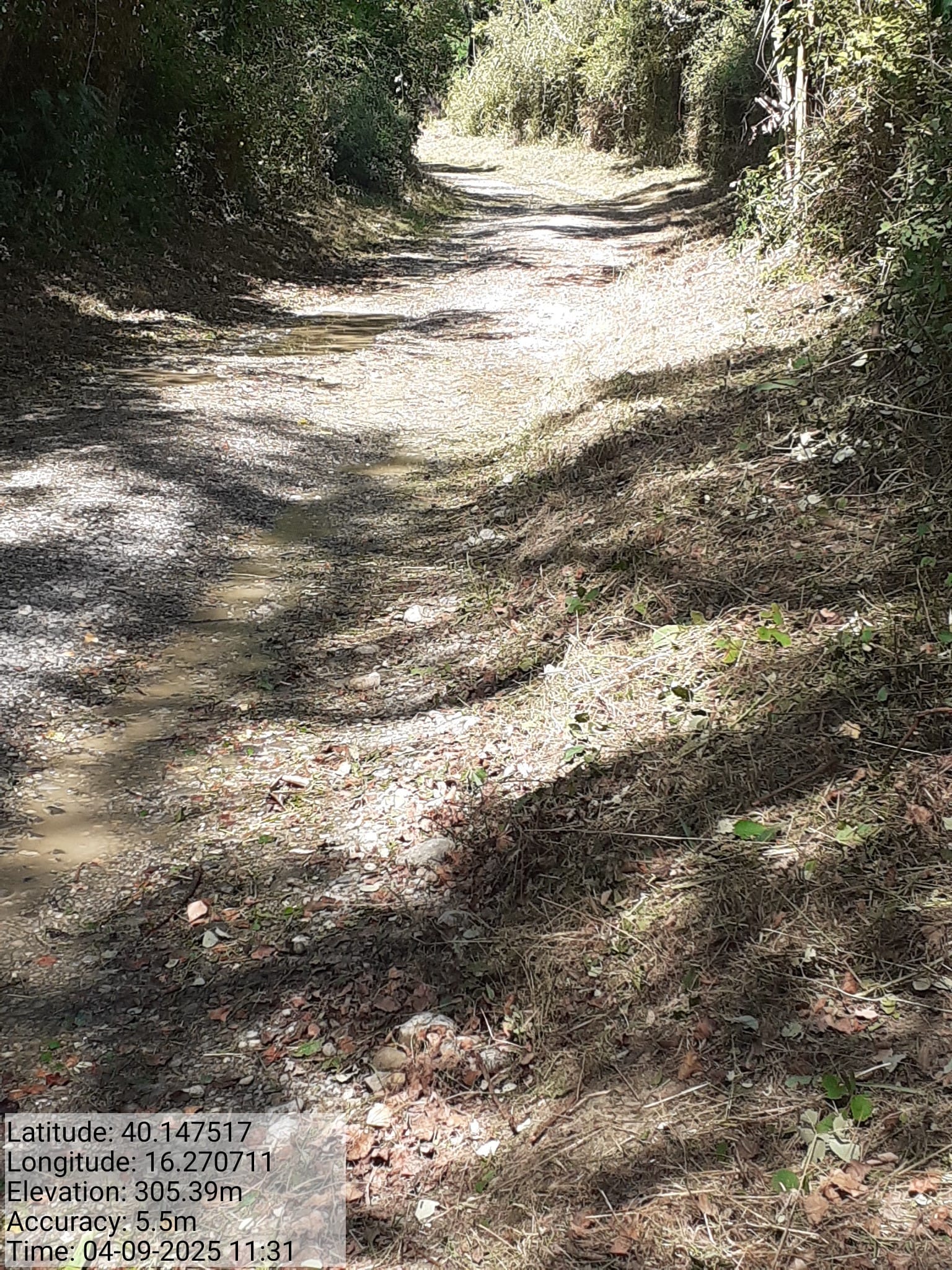 Galleria Fotografica Immagine