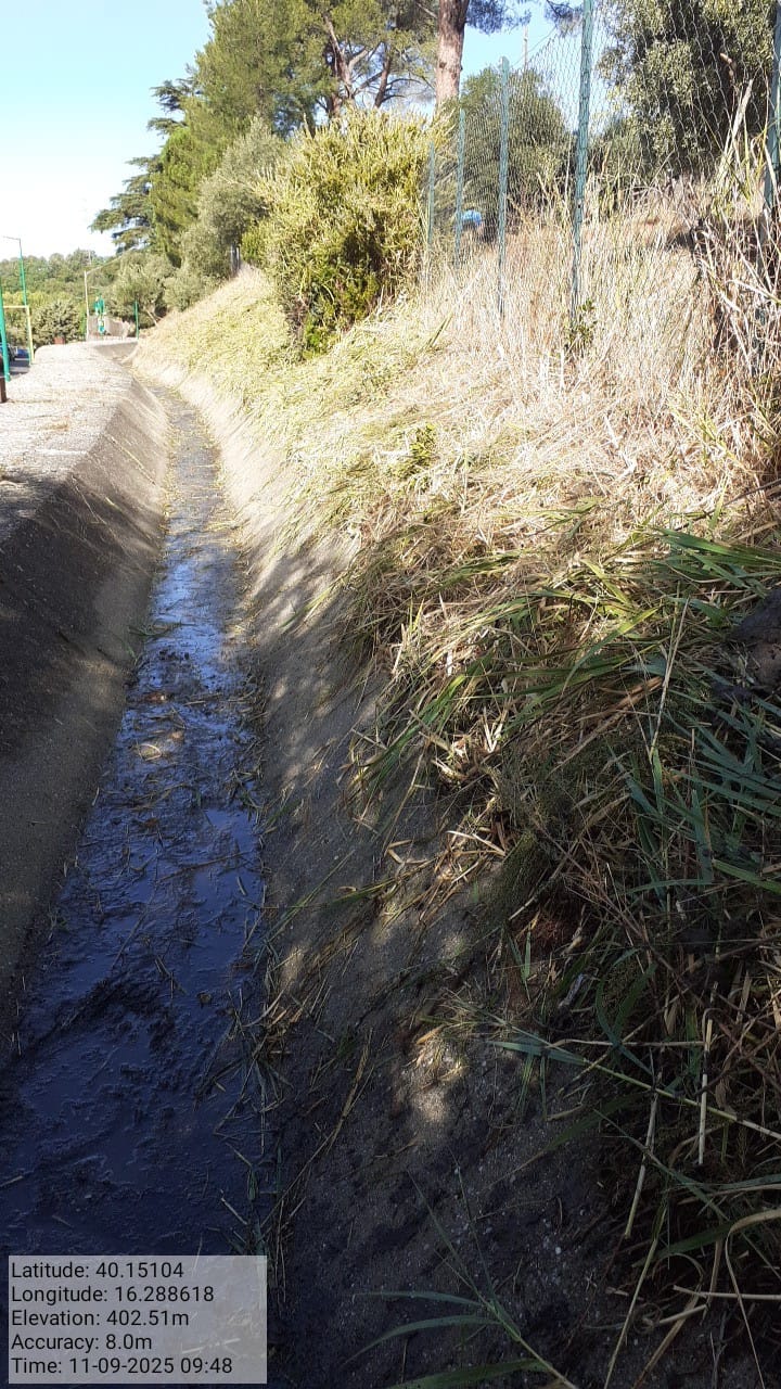 Galleria Fotografica Immagine