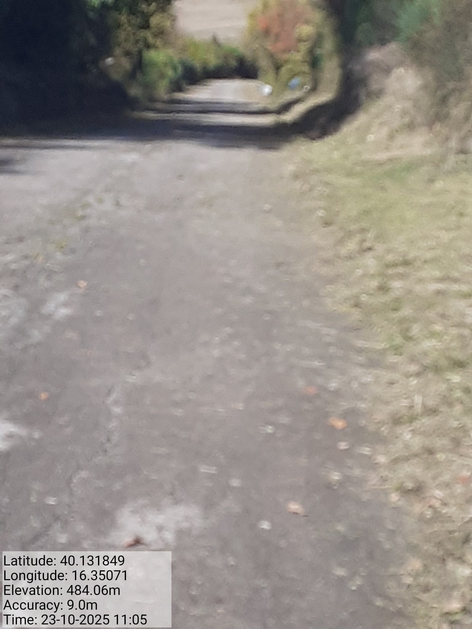 Galleria Fotografica Immagine