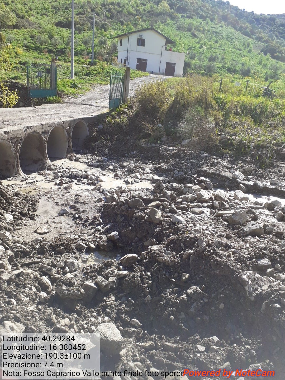 Galleria Fotografica Immagine