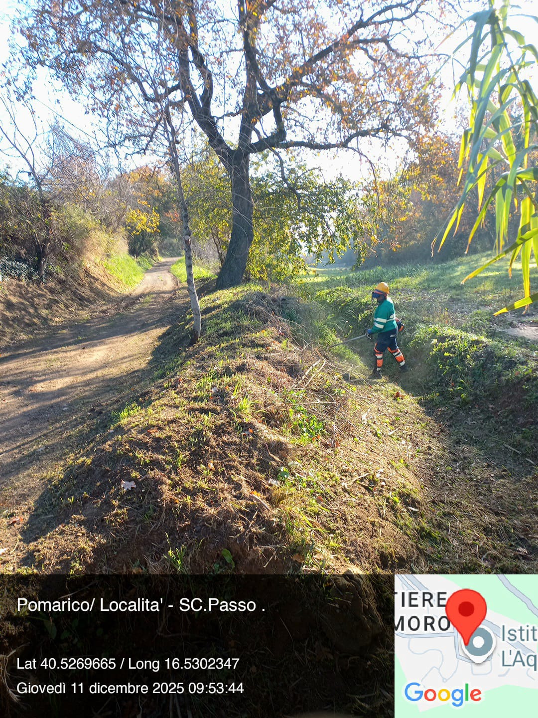 Galleria Fotografica Immagine