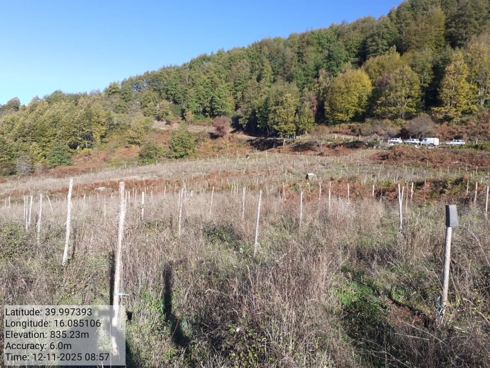 Galleria Fotografica Immagine