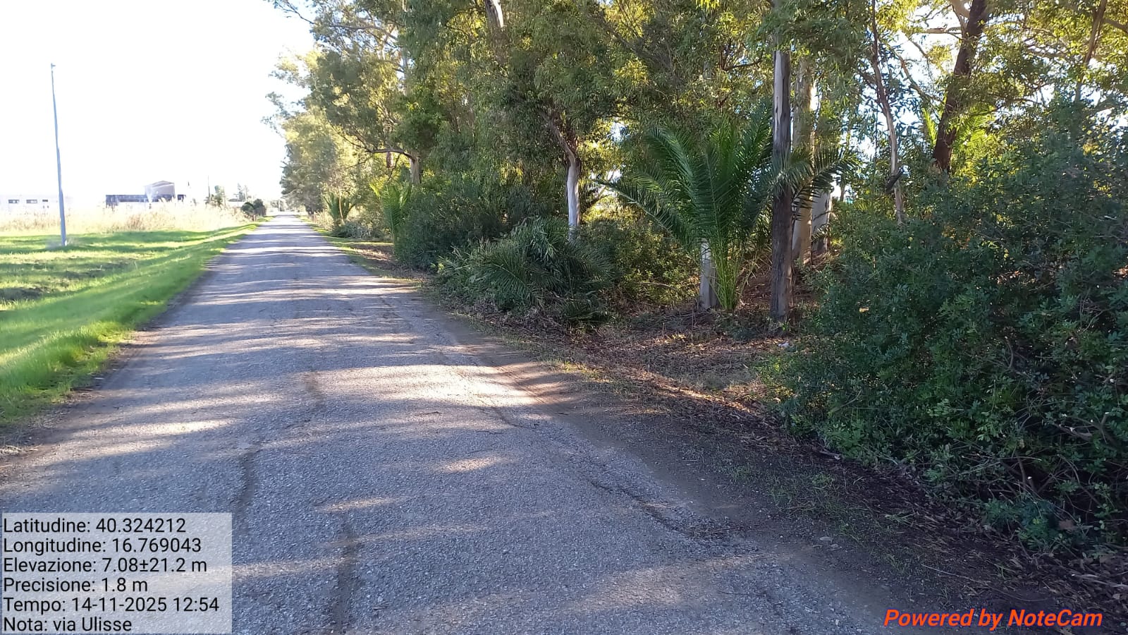 Galleria Fotografica Immagine