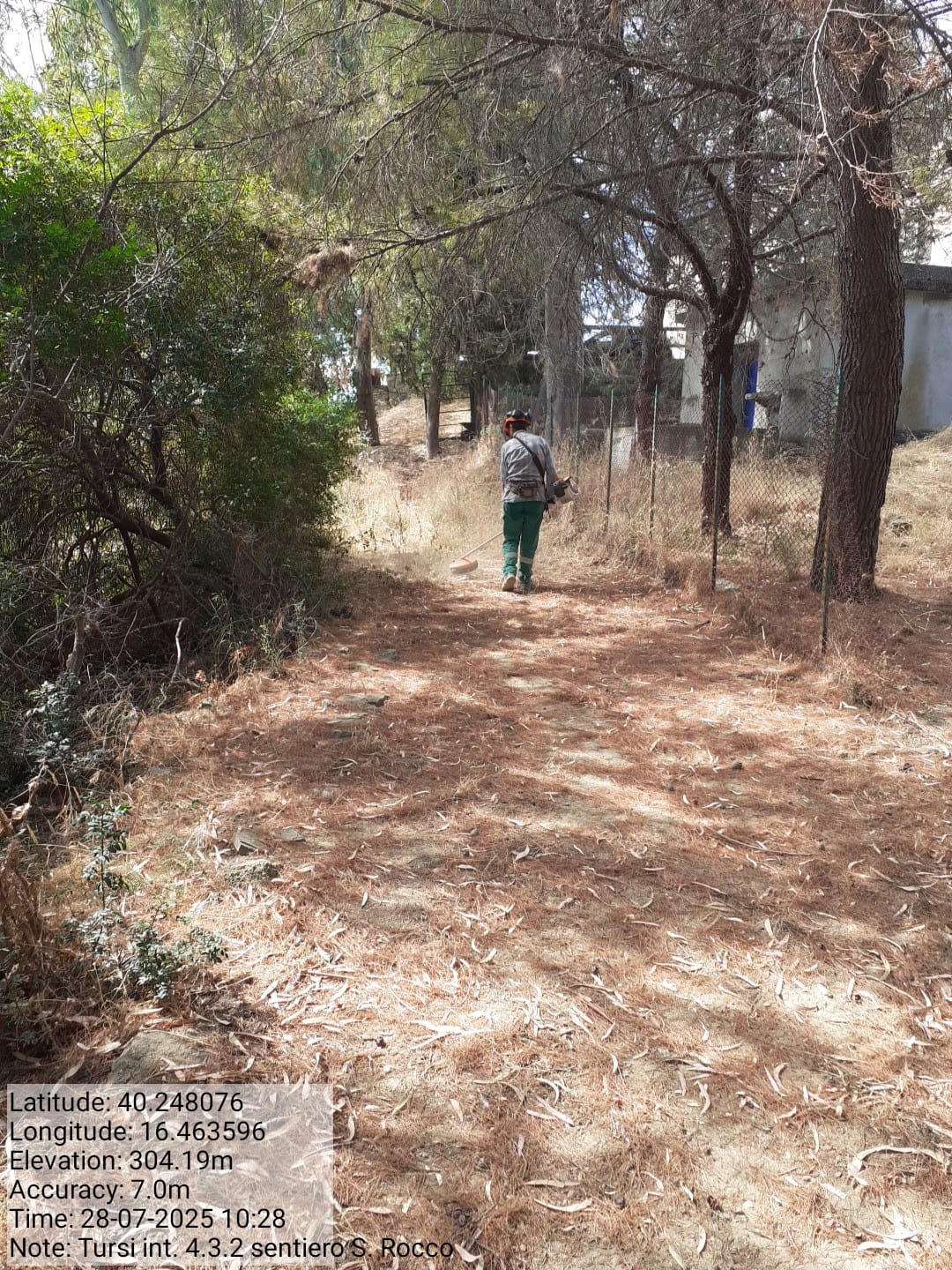 Galleria Fotografica Immagine