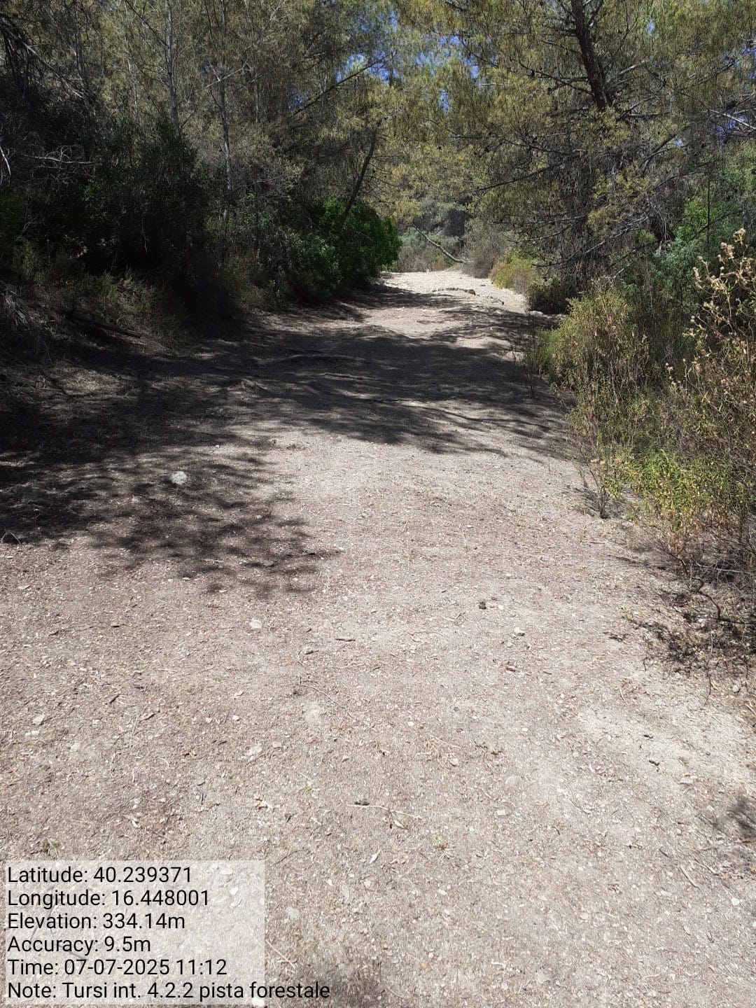 Galleria Fotografica Immagine