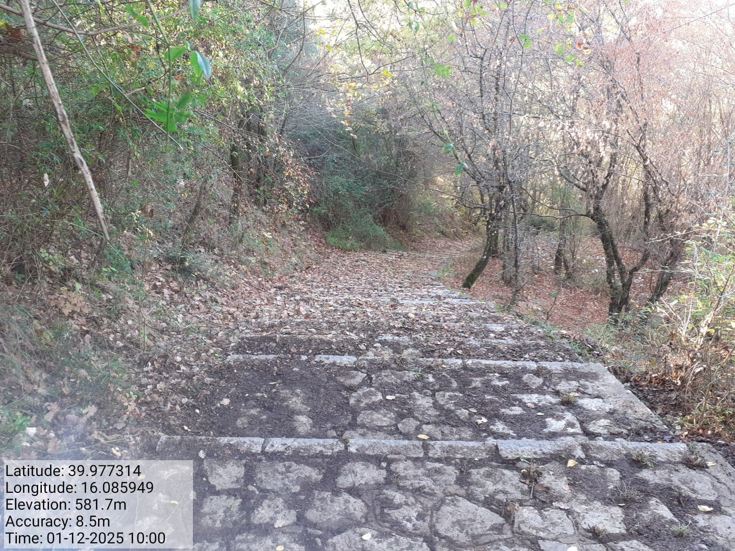 Galleria Fotografica Immagine