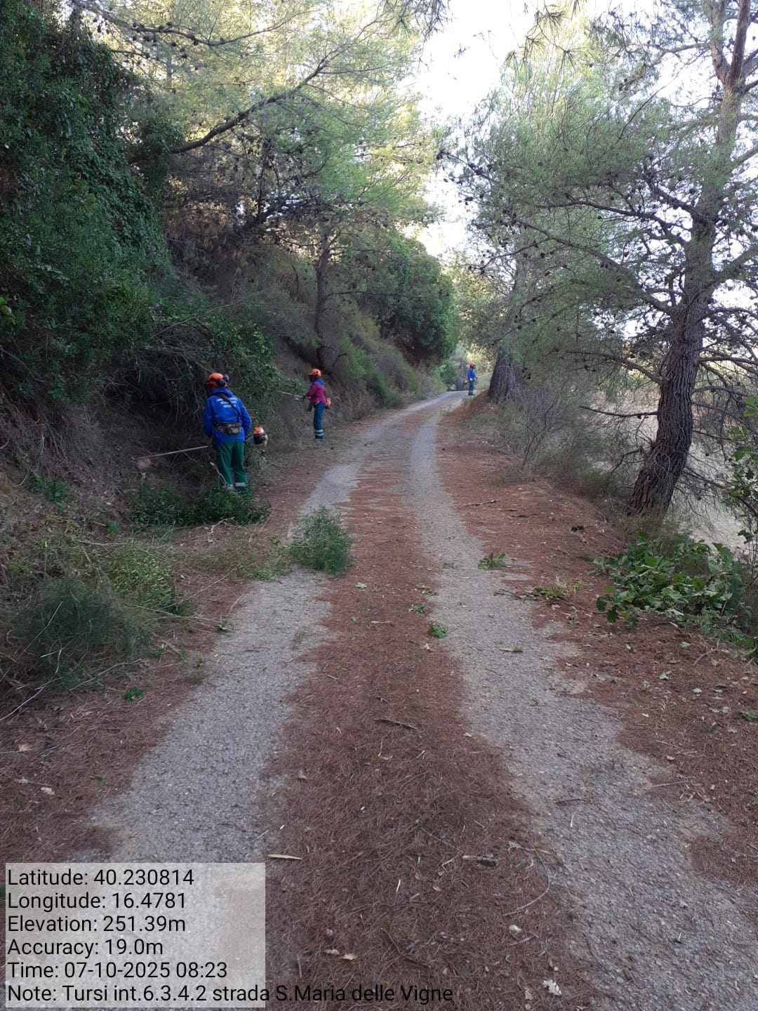 Galleria Fotografica Immagine