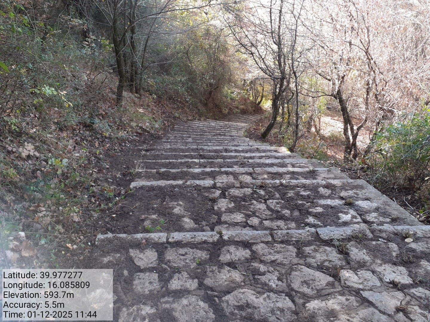 Galleria Fotografica Immagine