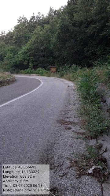 Galleria Fotografica Immagine