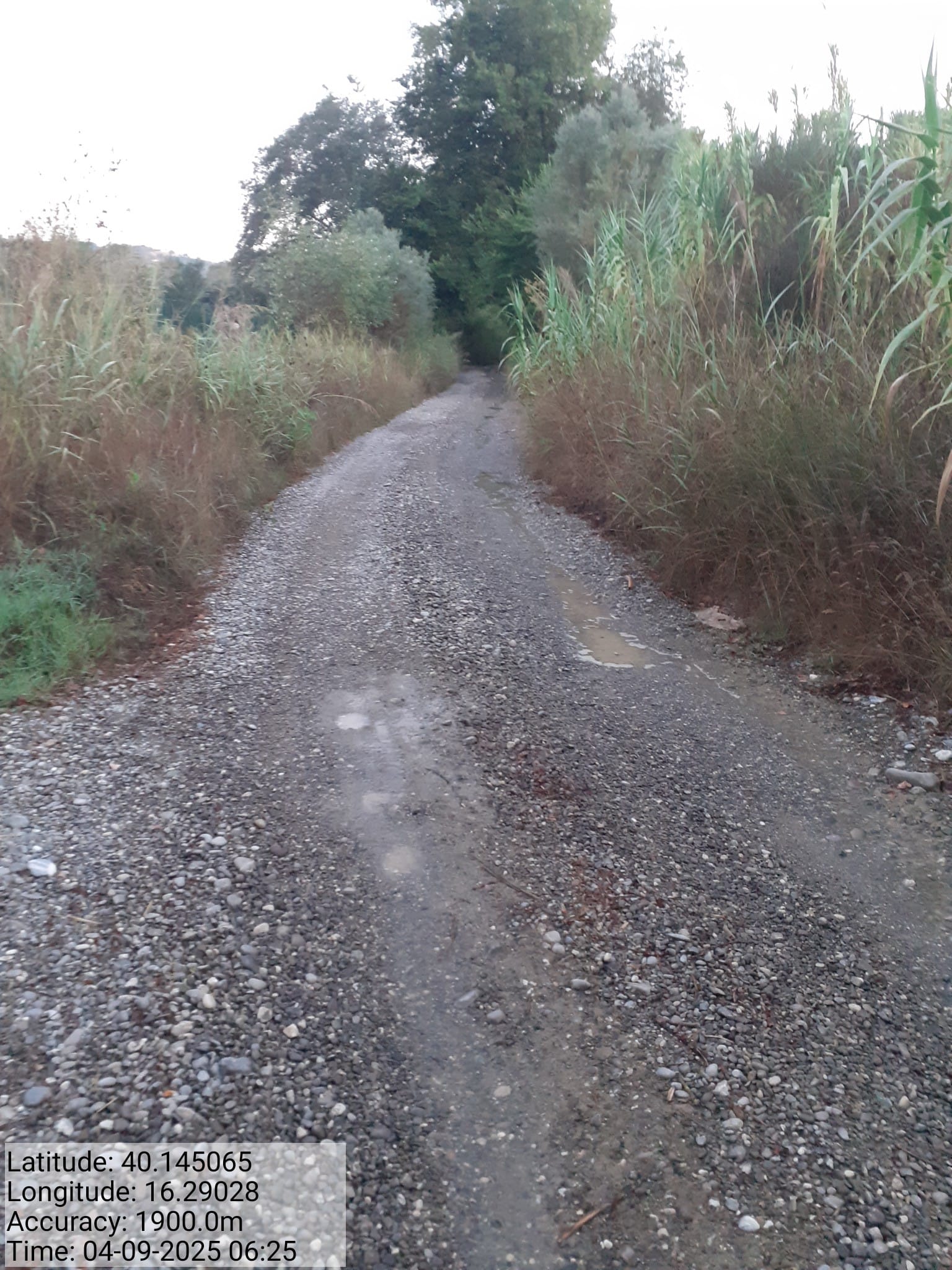 Galleria Fotografica Immagine