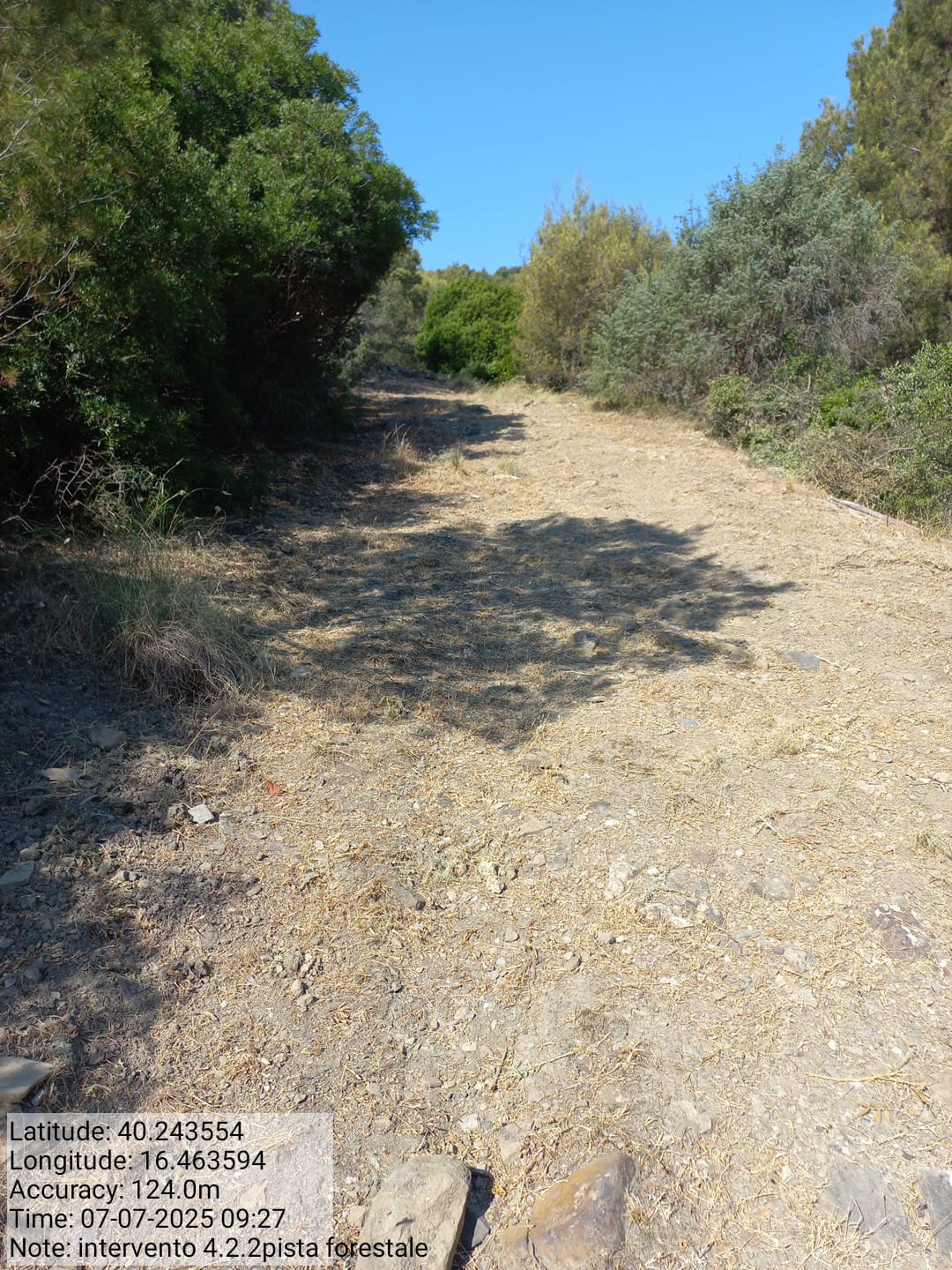 Galleria Fotografica Immagine