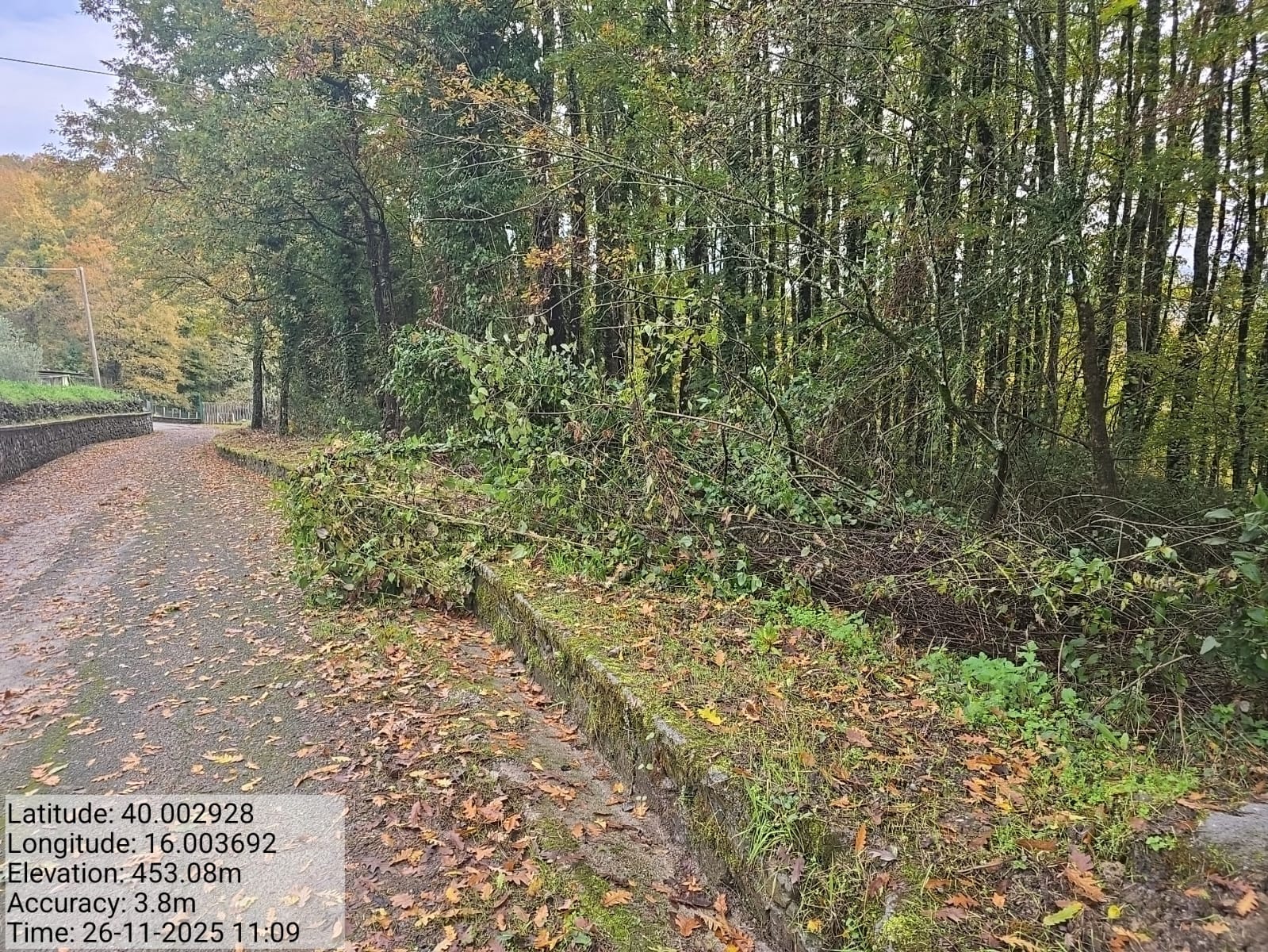 Galleria Fotografica Immagine