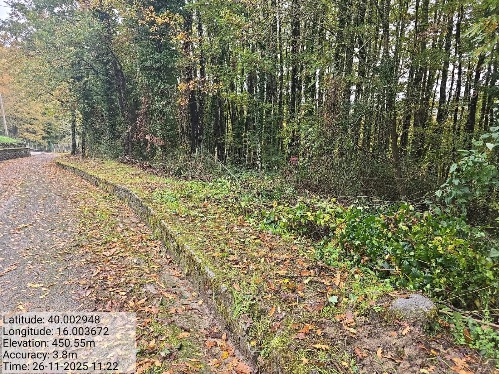 Galleria Fotografica Immagine