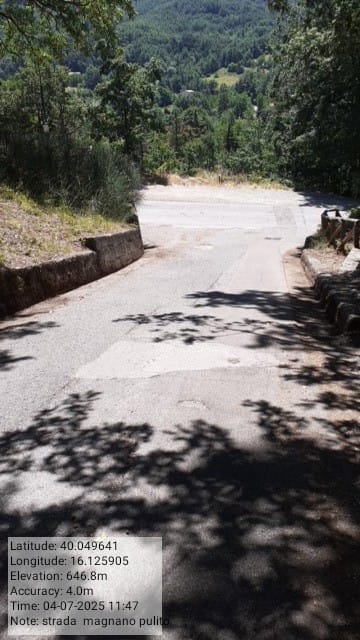 Galleria Fotografica Immagine