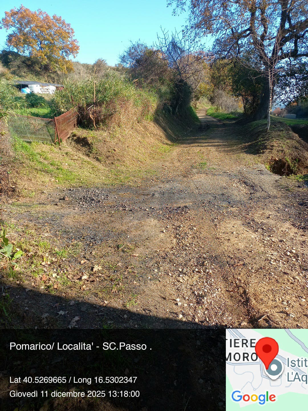 Galleria Fotografica Immagine