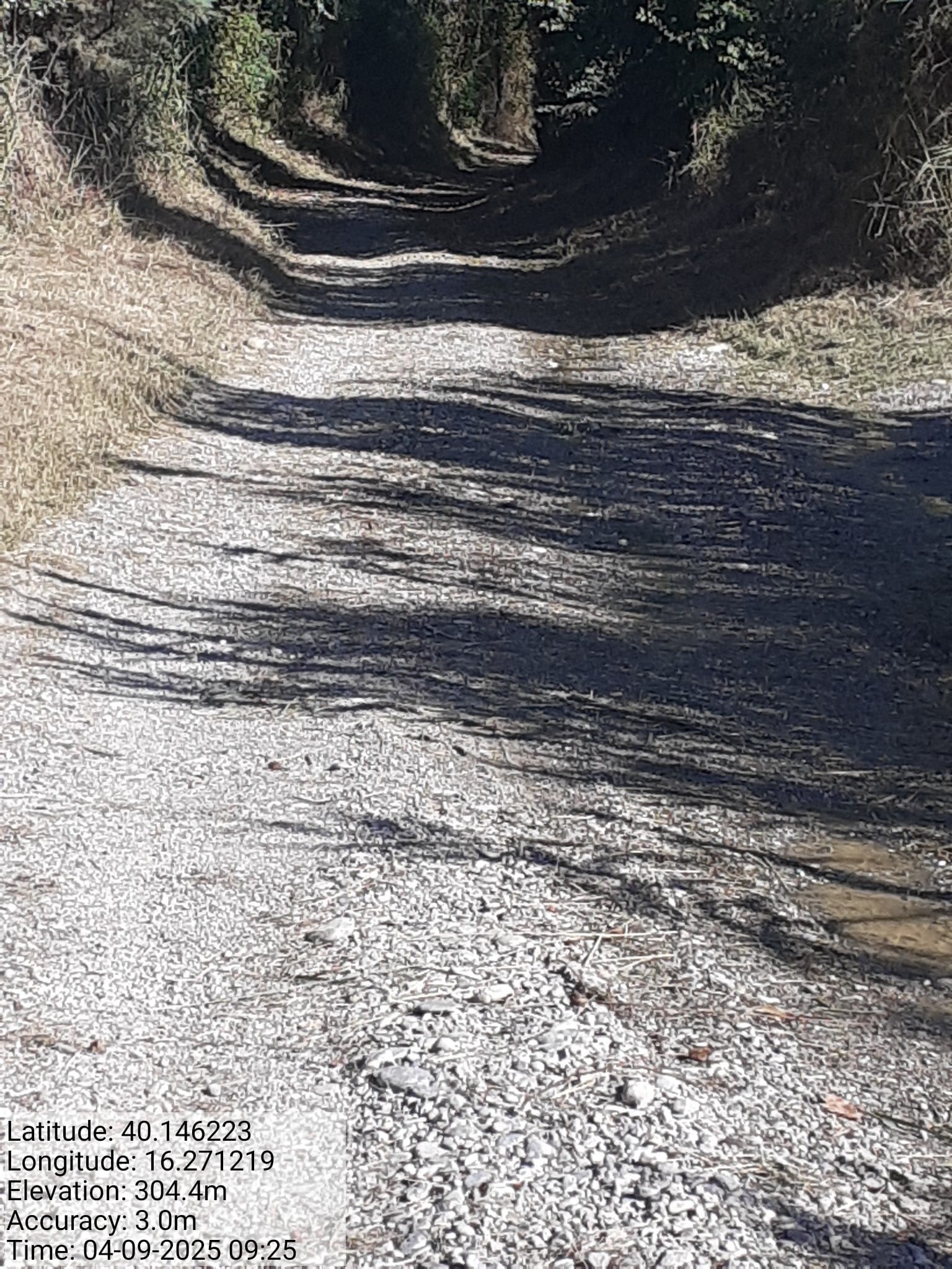 Galleria Fotografica Immagine