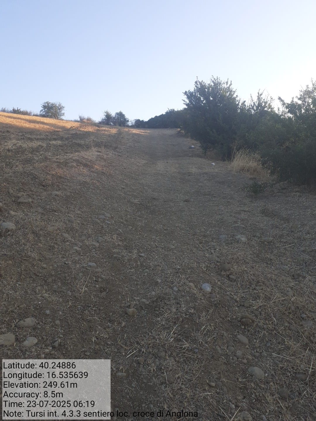 Galleria Fotografica Immagine