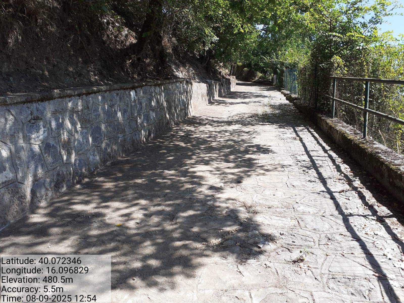 Galleria Fotografica Immagine