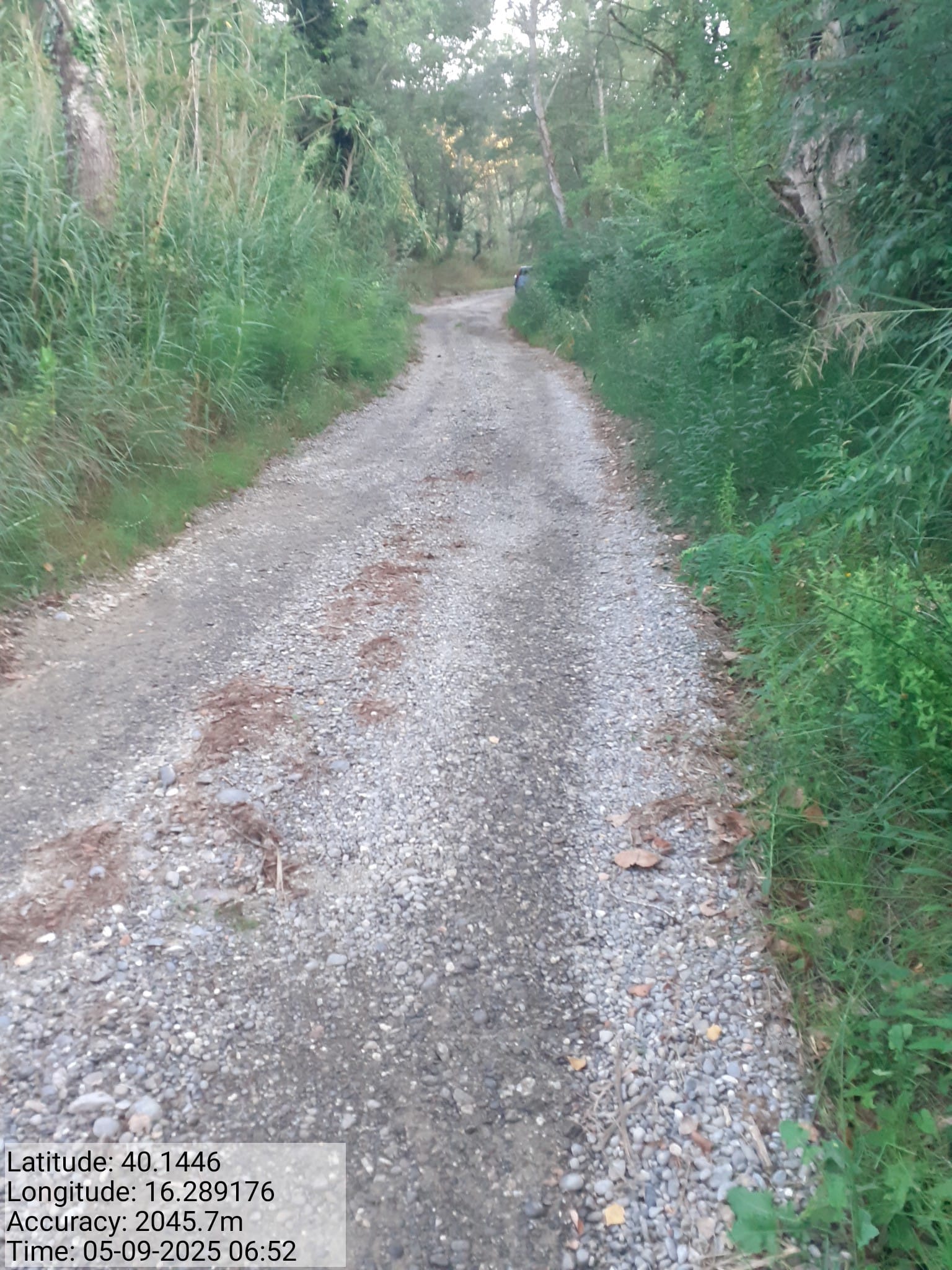 Galleria Fotografica Immagine