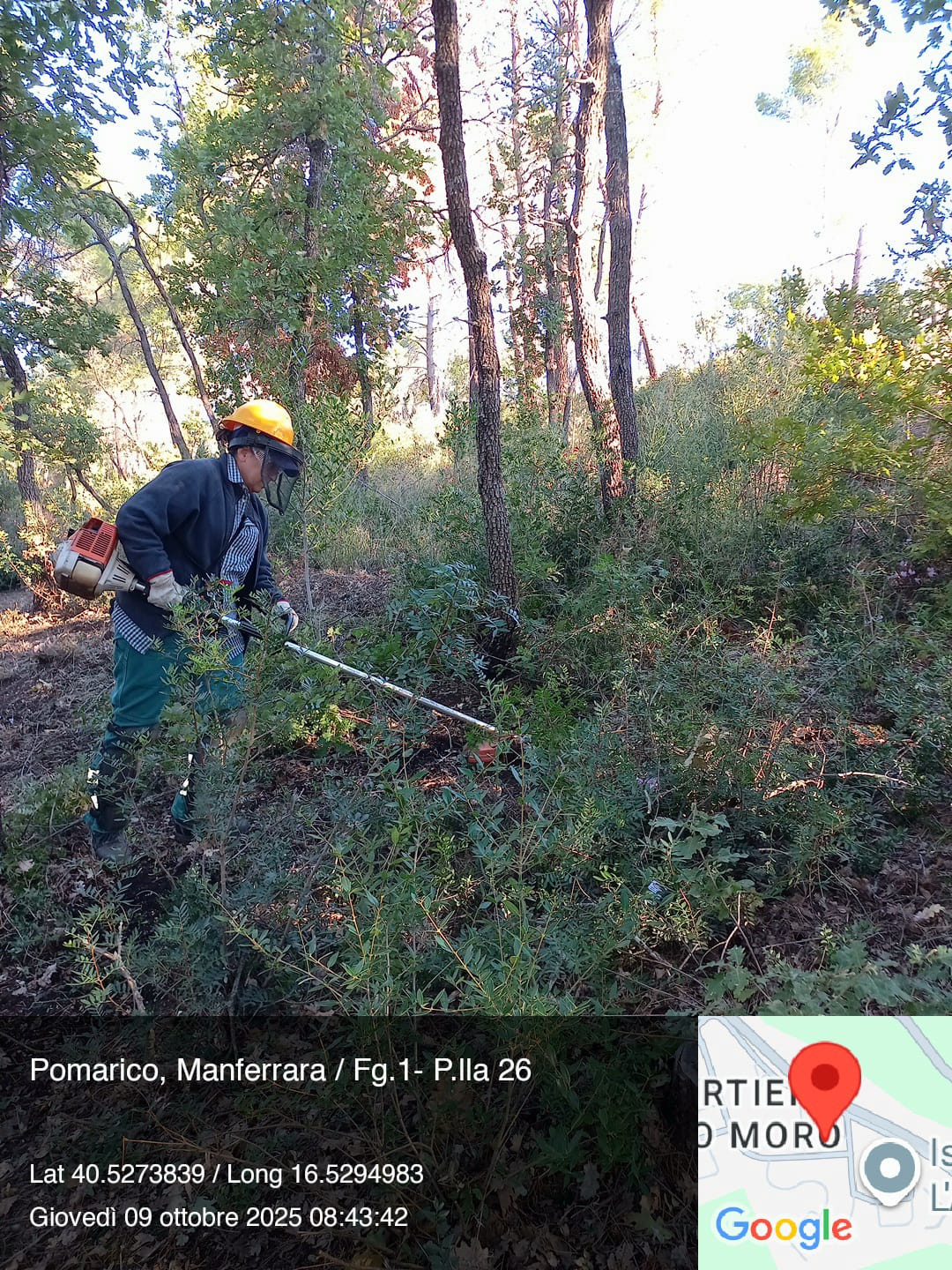 Galleria Fotografica Immagine