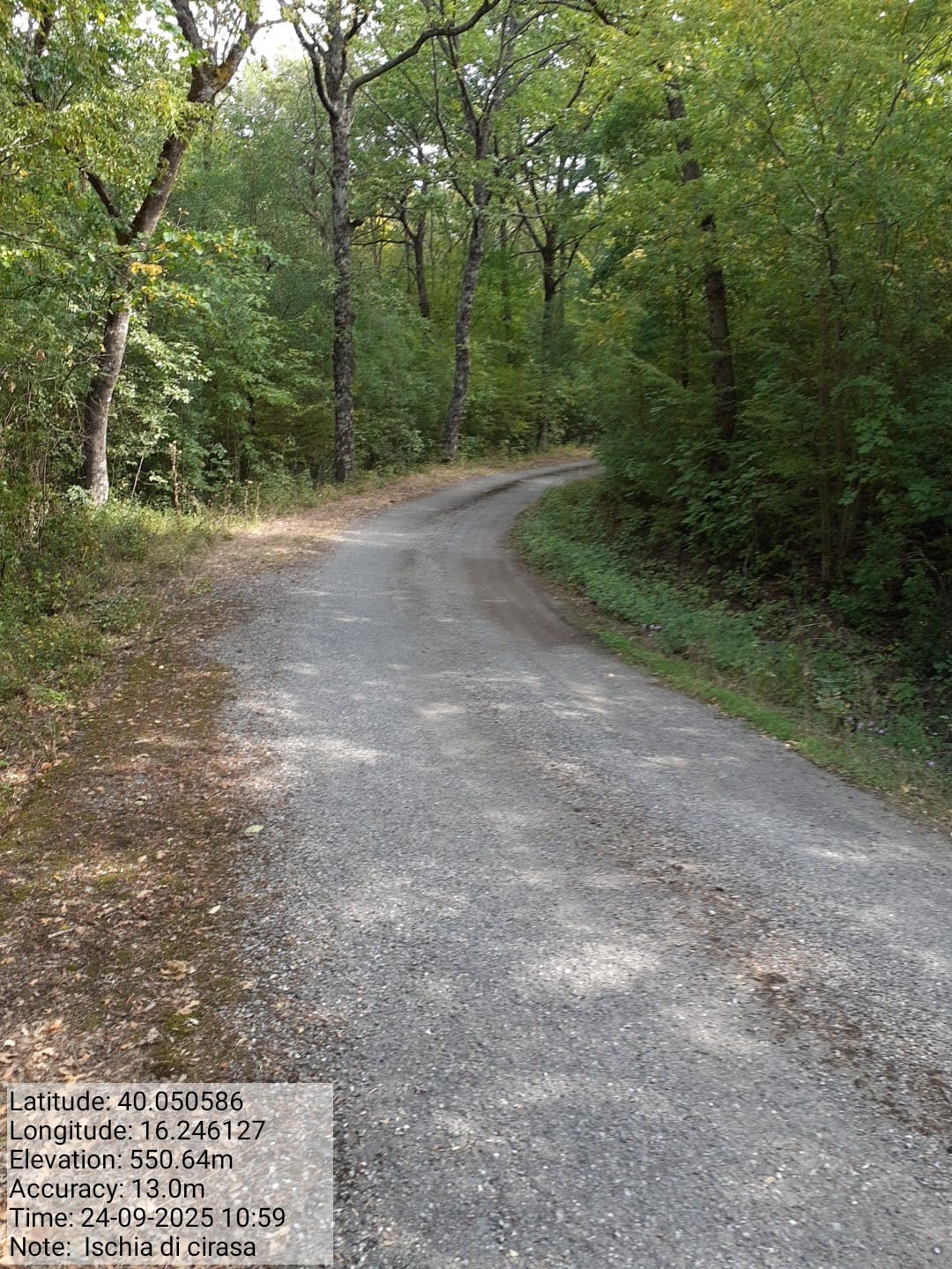 Galleria Fotografica Immagine