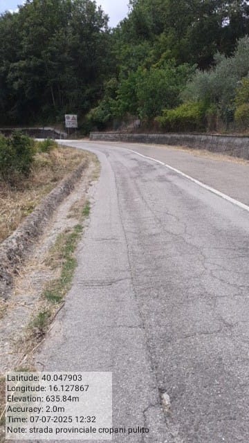 Galleria Fotografica Immagine