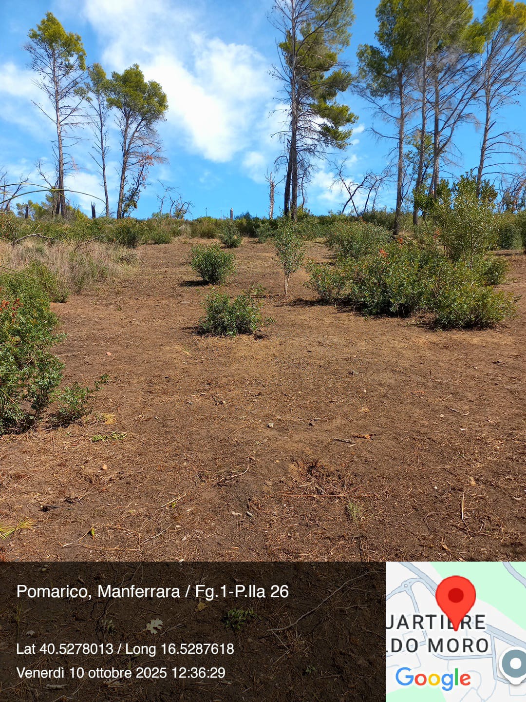 Galleria Fotografica Immagine