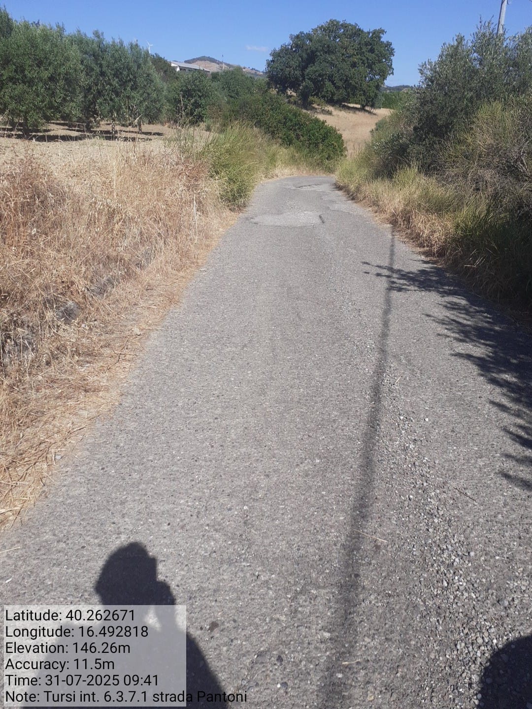 Galleria Fotografica Immagine