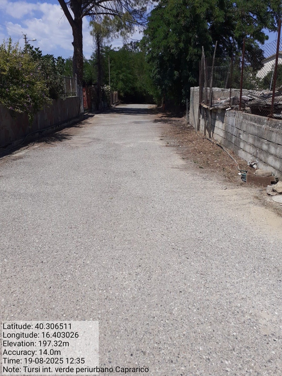 Galleria Fotografica Immagine