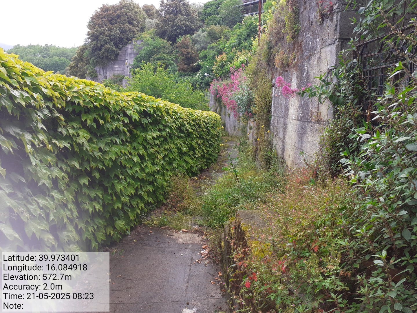 Galleria Fotografica Immagine